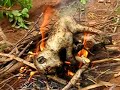 the bushmen cook a monkey the just hunted and killed during our time with them in tanzania.