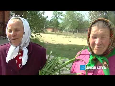 Зeлeні свята: минулe і сьогодні. Перший день Трійці