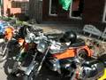 videos de Kreidlerdag Noord Siddeburen 2008 2
