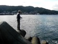 伊東港イナダのナブラ！その1