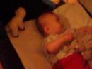 Little Joe Iannuzzi Sings to his Toys... Little Joe Iannuzzi Sings to his Toys...