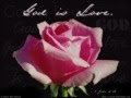 What is Love? ~ Love Song ~ Love Poem