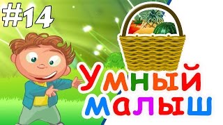 Умный малыш #14