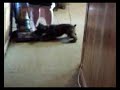 hatchet vs the vacuum cleaner