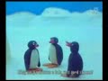 Pinguin ghetto Pinguin ghetto