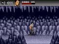 levels 3 and 4 - another mountain level with wooden bridges, lots of jumps, and many falling rocks, followed by yet another mountain level with icy waterfalls and a bat cave