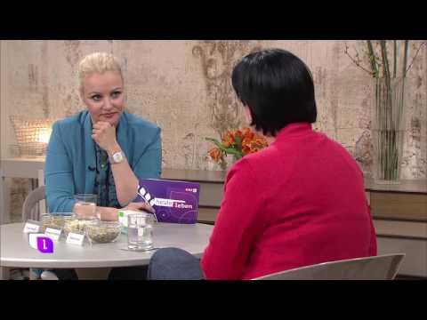 Mutterkraut Arzneipflanze des Jahres 2017 - ORF Heute Leben