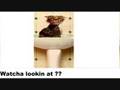 Funny Animals 18
