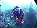 1999 Belize, Nekton Pilot 1999 Belize, Nekton Pilot
