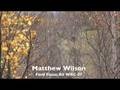 videos de RallyJapan2008 SS4 Part.2 (Focus only)