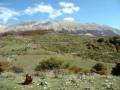 videos de MonteViste - Wild Mountain Thyme