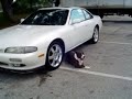 ROCKY`S 240