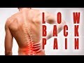 The real cause and solutions to low back pain