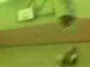 skate jump skate jump