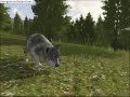 WolfQuest Episode II: Slough Creek coming soon!