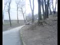 pijaczek