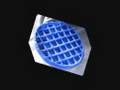 WASTED WAFFLE