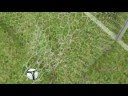 Demi-Voll�e Zanetti