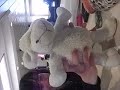 Flip-Flop Flip-Flop