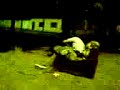 pelea con el sillon