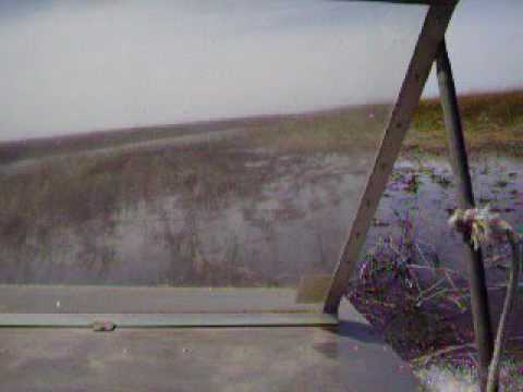 Air Boat Ride - Florida Everglades visit to GATOR PARK