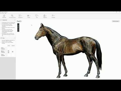Lernsoftware TCVM-Diagnosestellung Pferd, Carola Krokowski