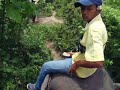 Elephant ride, Koh Saui