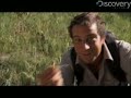 Man vs. Wild - Yum! Prairie Turnip!