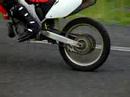 Big Fishie On Tar Motox
