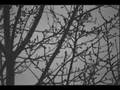 The Cracow Klezmer Band - Memento Mori
