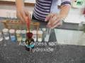 Cation Test - Alumnium (III) ion