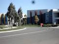Maloo drifting