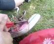 shoe2. 