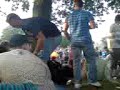 rheinkultur 2007 drum&bass rheinkultur 2007 drum&bass