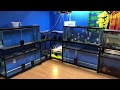 55 Gallon Wrought Iron Aquarium Stand