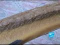 Greenpeace Japan suspecting whale meat smuggling Greenpeace Japan suspecting whale meat smuggling