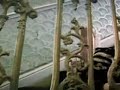 Powiększyli lalkom penisy (zabawne)