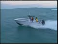 Yellowfin vs. Invincible