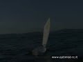 Optimist RC