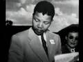 Mandela The Authorised Portrait