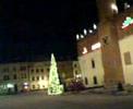 Tarnów Rynek Choinka Tarnów Rynek Choinka