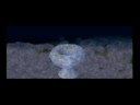 Empire Earth Nuklear-Rakete