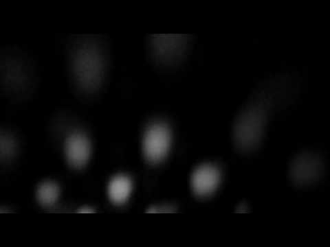 Youtube Video tHHySBWjY8Y