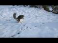 videos de Neige