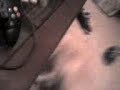 El Primer Beso de Arturo