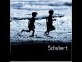 Franz Schubert Last String Quartet No. 15 in G major D. 887 II. Movement