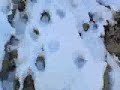 10to gl on ice