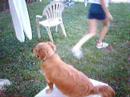 nat-king-cole-l-o-v-e-cover.html