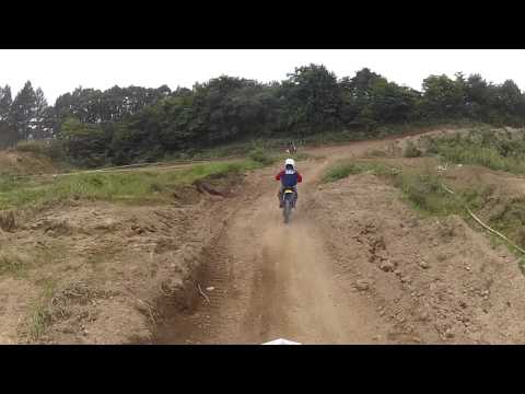 動画