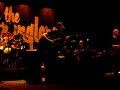 The Stranglers - Golden Brown (unplugged)